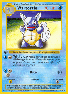 Wartortle Base #42