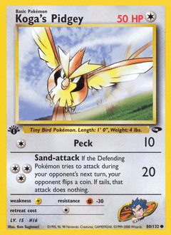 Koga's Pidgey Gym Challenge #80
