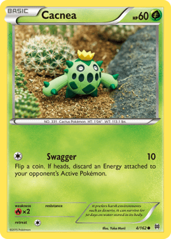 Cacnea BREAKthrough #4